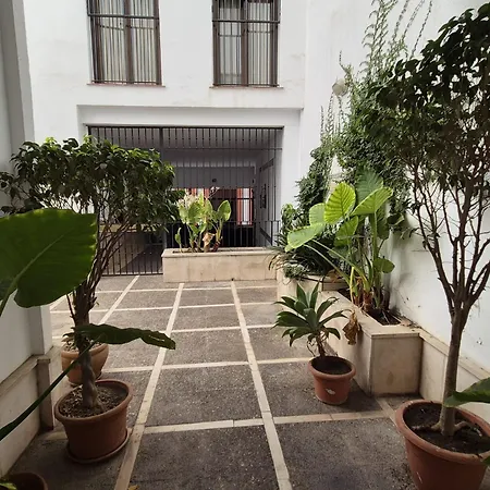 A Un Paso Del Museo De Bellas Artes 아파트