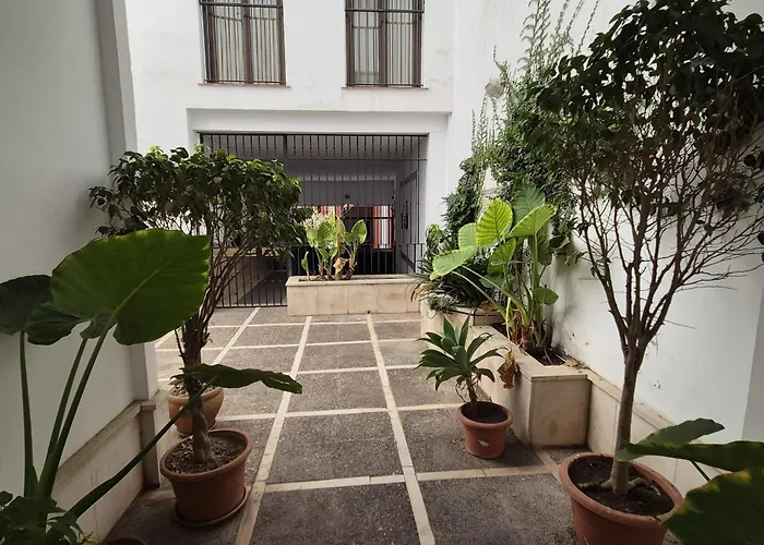 A Un Paso Del Museo De Bellas Artes 아파트